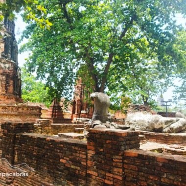 Ayutthaya_Templos (13)